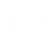 Jane Logo White